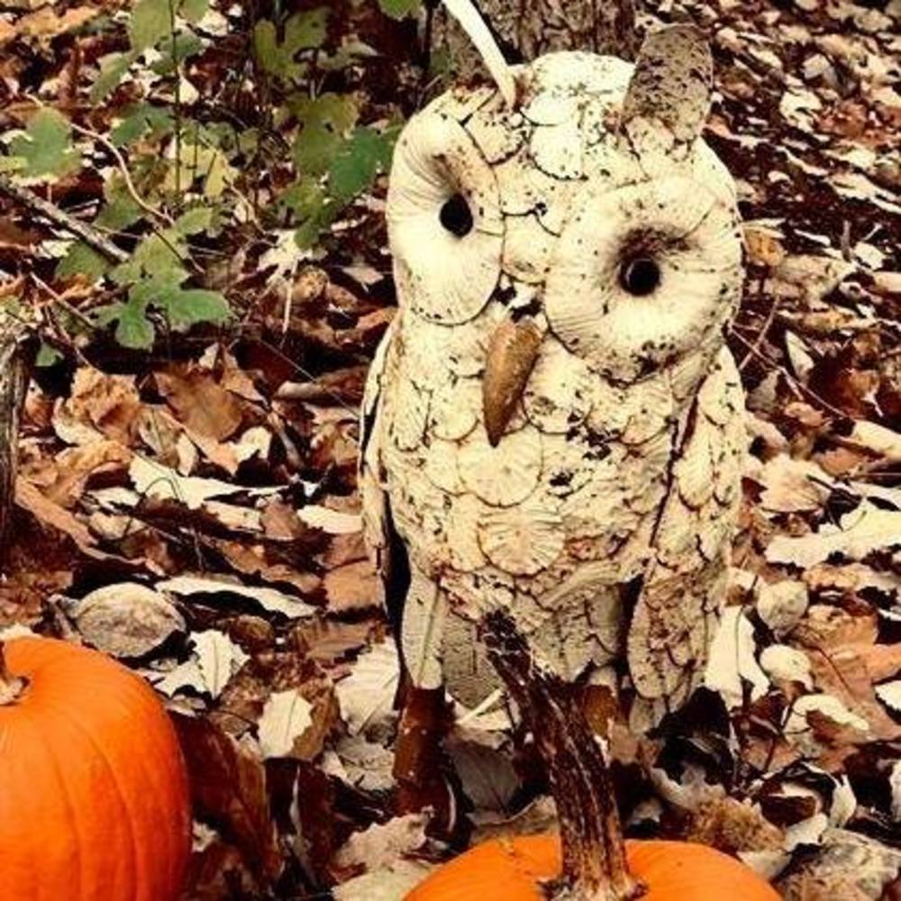 Meet your Posher, Jan